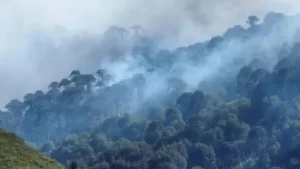 f685x385-193010_230703_5050