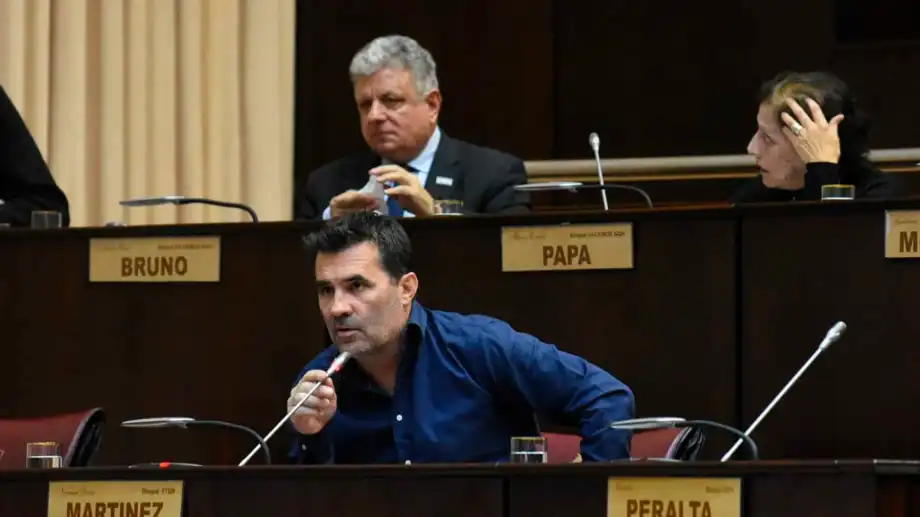 Neuquen-legislatura-sesion-presentismo-docente-DARIO-MARTINEZ-foto-mati-subat-2