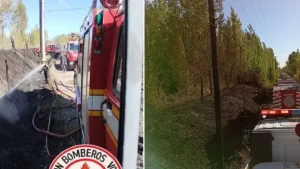 incendios-plottier-bomberosjpg