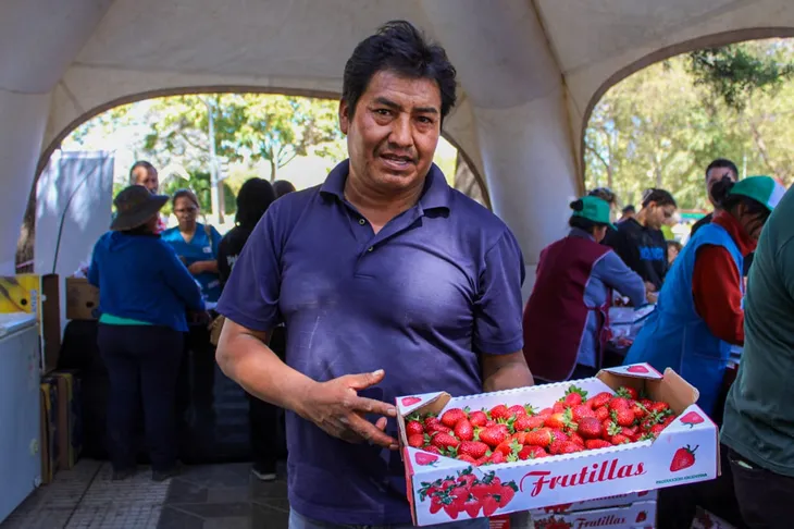 whatsapp-image-2025-03-19-at-140310jpeg