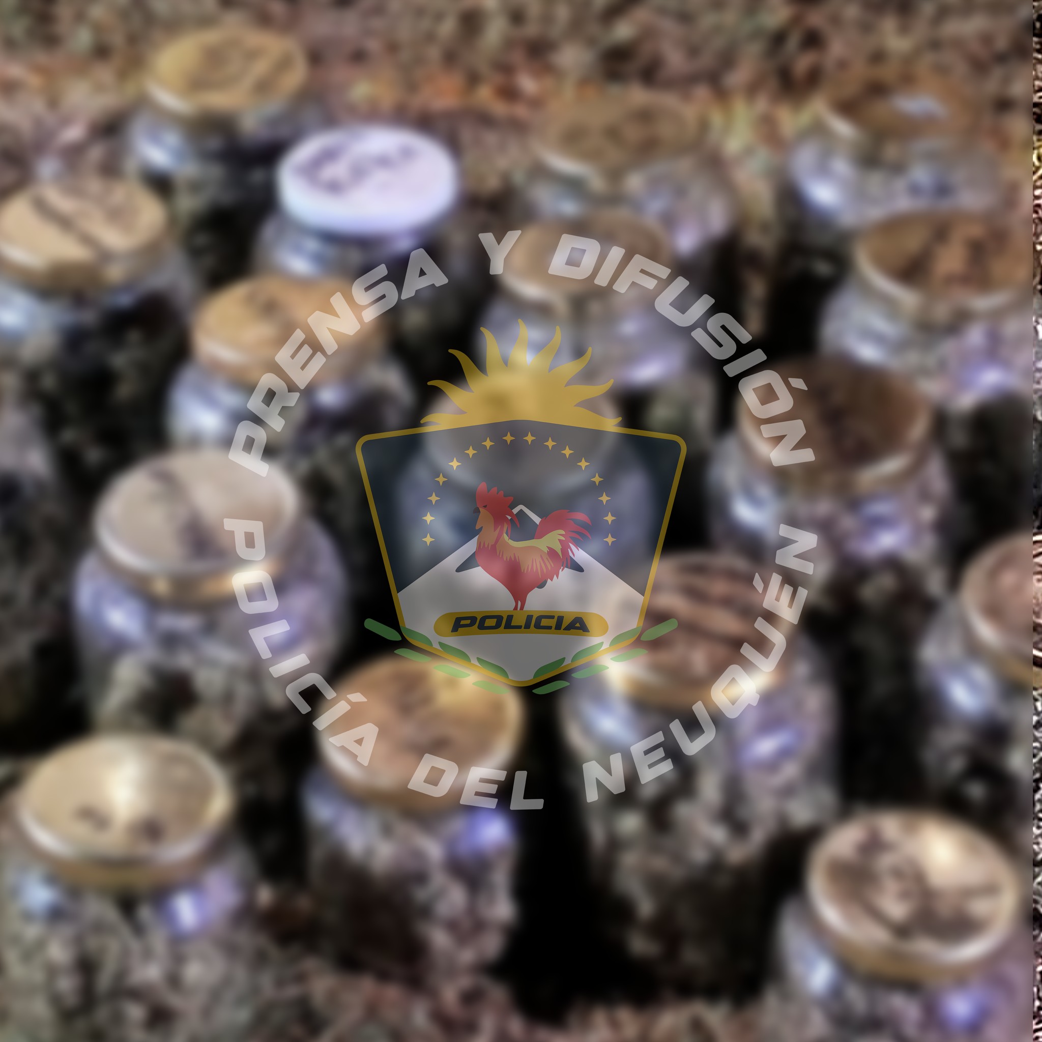 492537621_1104029545088948_7656920248914497198_n