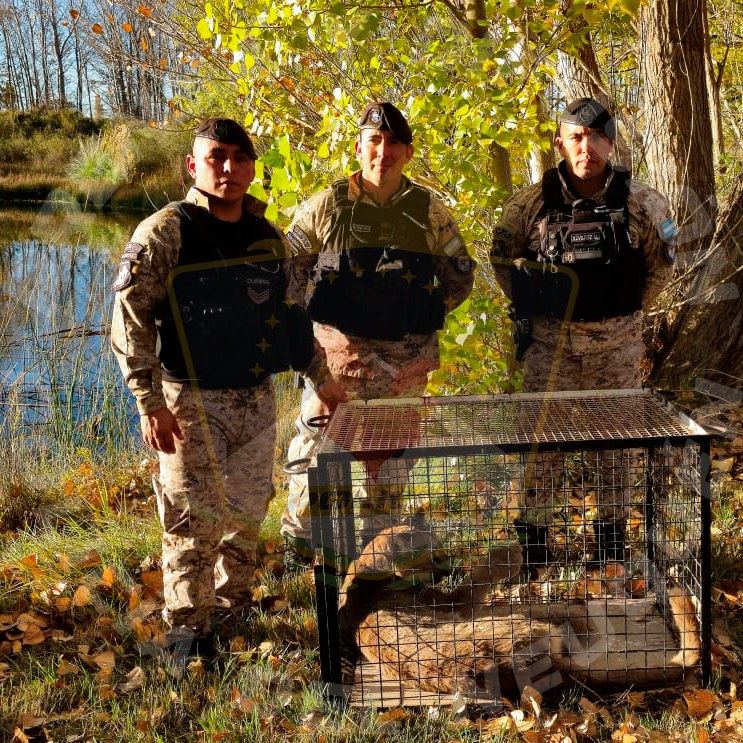 494129818_1107472661411303_6261231004833114156_n