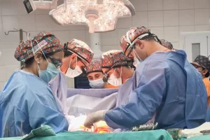 multimedia.normal.adbab972ac1692fb.bm9ybWFsLndlYnA=