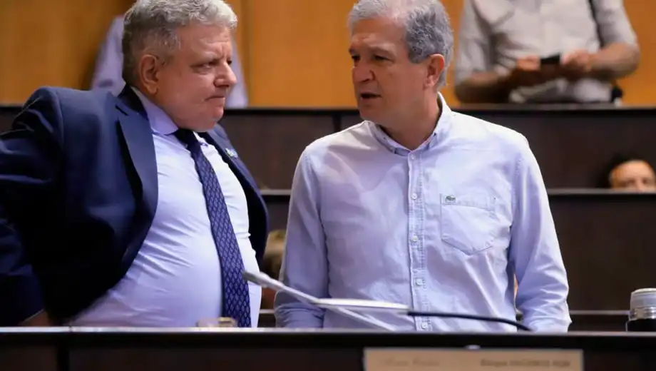 Neuquen-legislatura-sesion-especial-por-suspension-de-Gloria-Ruiz-foto-fabian-ceballos-15