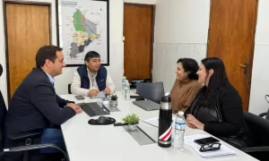 ate-y-gobierno-licencias-medicas