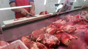 carnes-editada