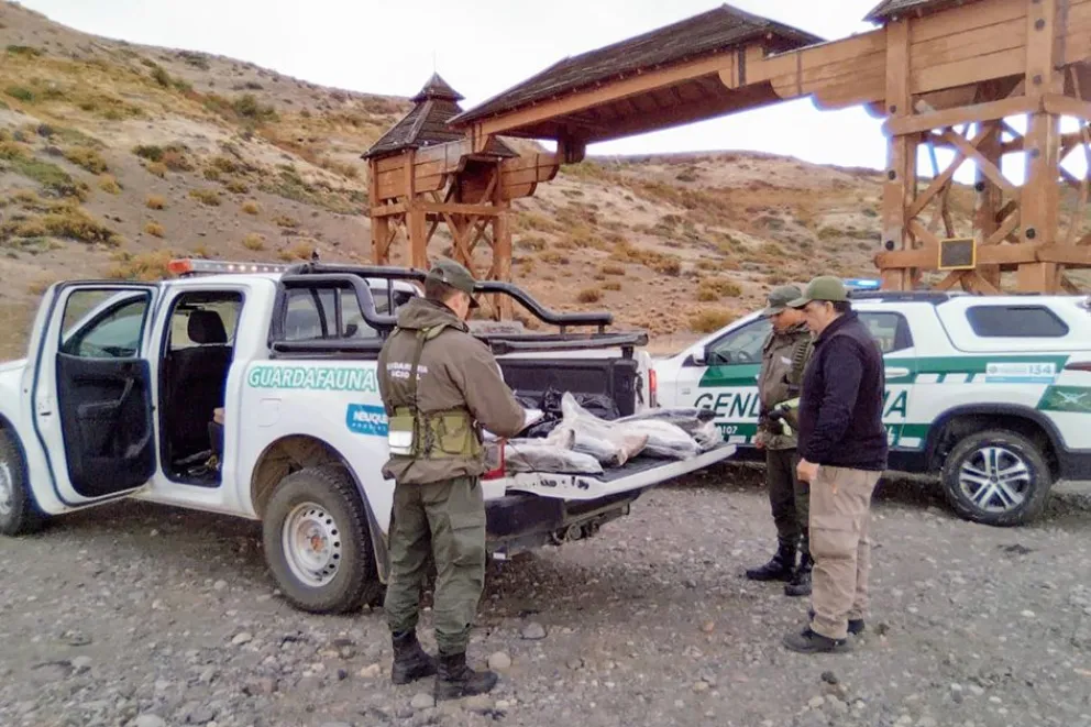 multimedia.normal.969b7c5f0e1cd18c.bm9ybWFsLndlYnA=