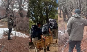 multimedia.normal.a806878a86e59e09.bm9ybWFsLndlYnA=