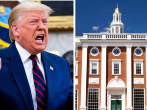 trump_1744685544993_1744685554703