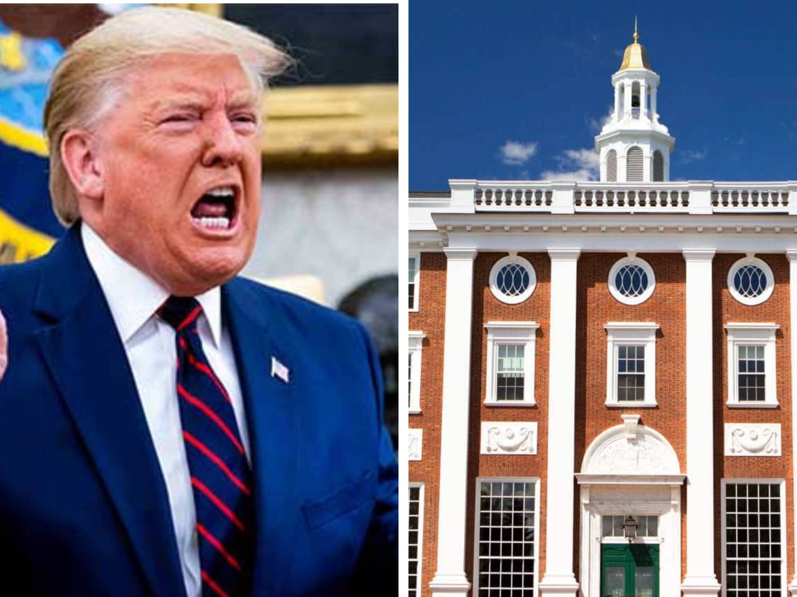 trump_1744685544993_1744685554703