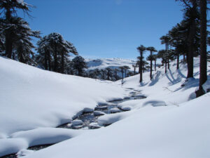 3458109422_66bd987b53_b