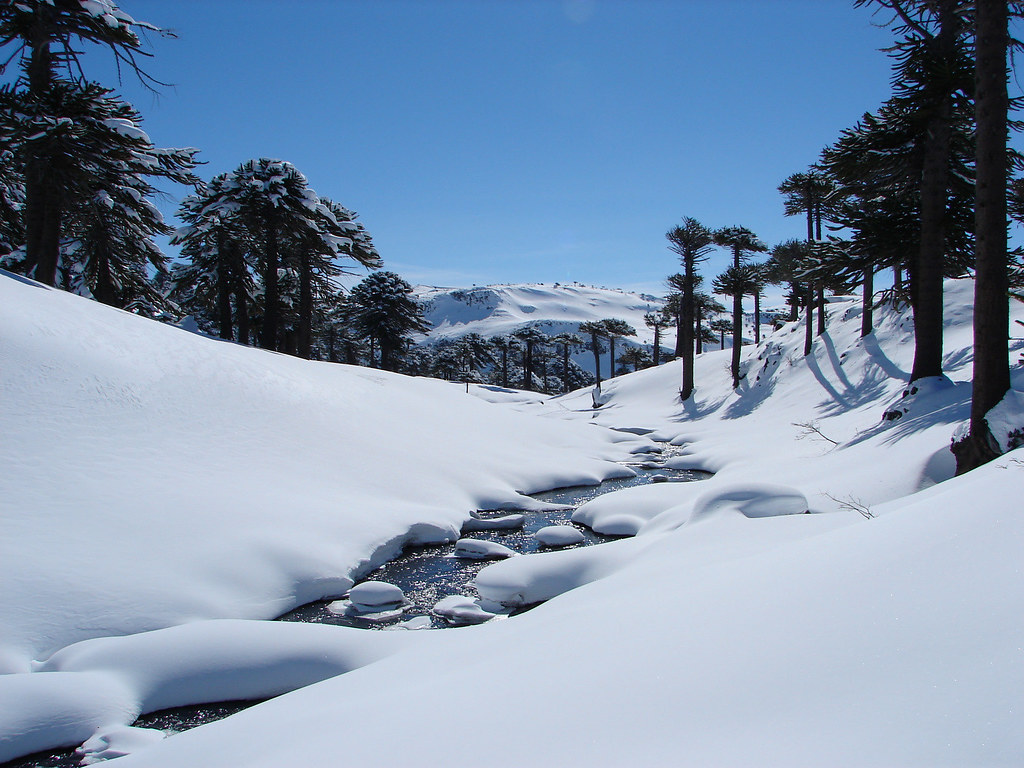 3458109422_66bd987b53_b