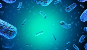 20250814095956_listeria