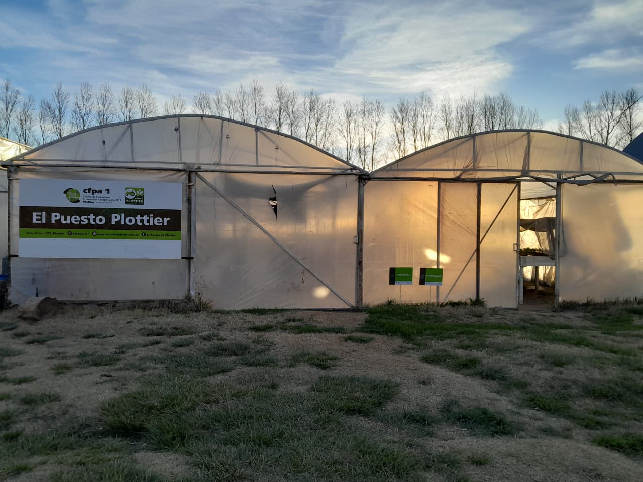 WhatsApp Image 2025-08-25 at 17.45.16