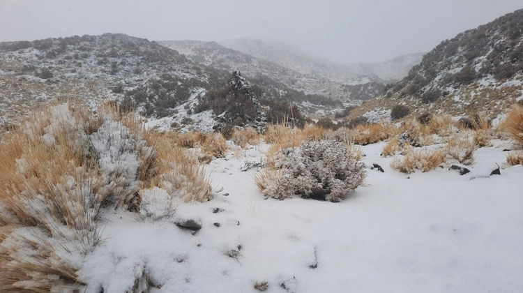 347413055-648123127341565-3419283348193336045-n-jpg.