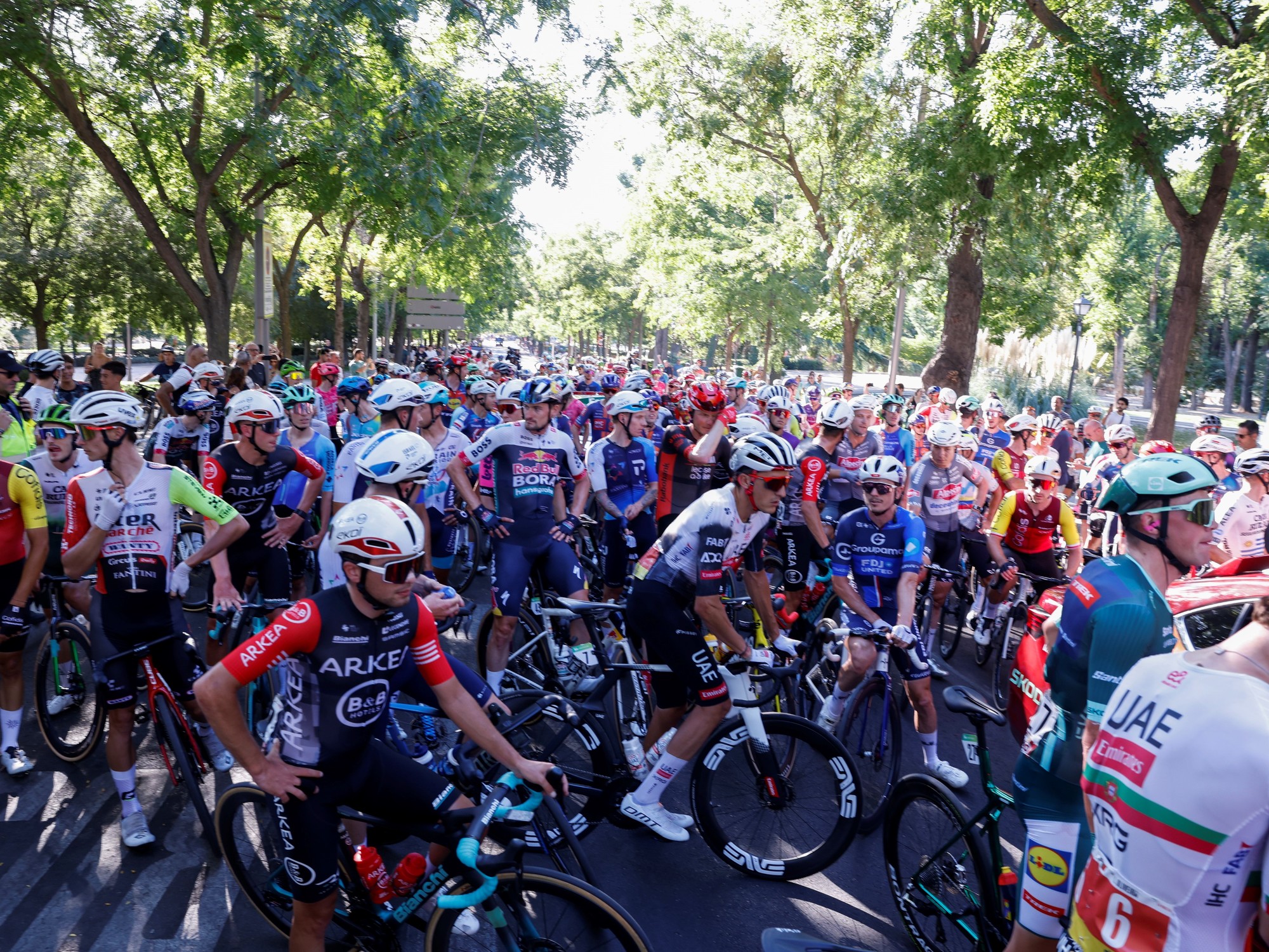 HaI9PbtIc_2000x1500__1