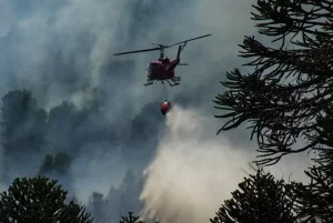 Incendio-Valle-Magdalena-e1739795776549