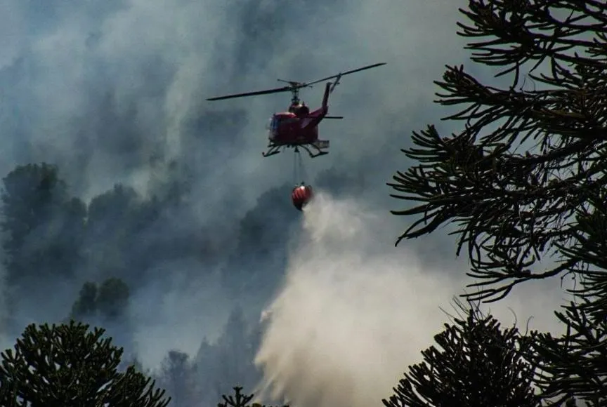 Incendio-Valle-Magdalena-e1739795776549