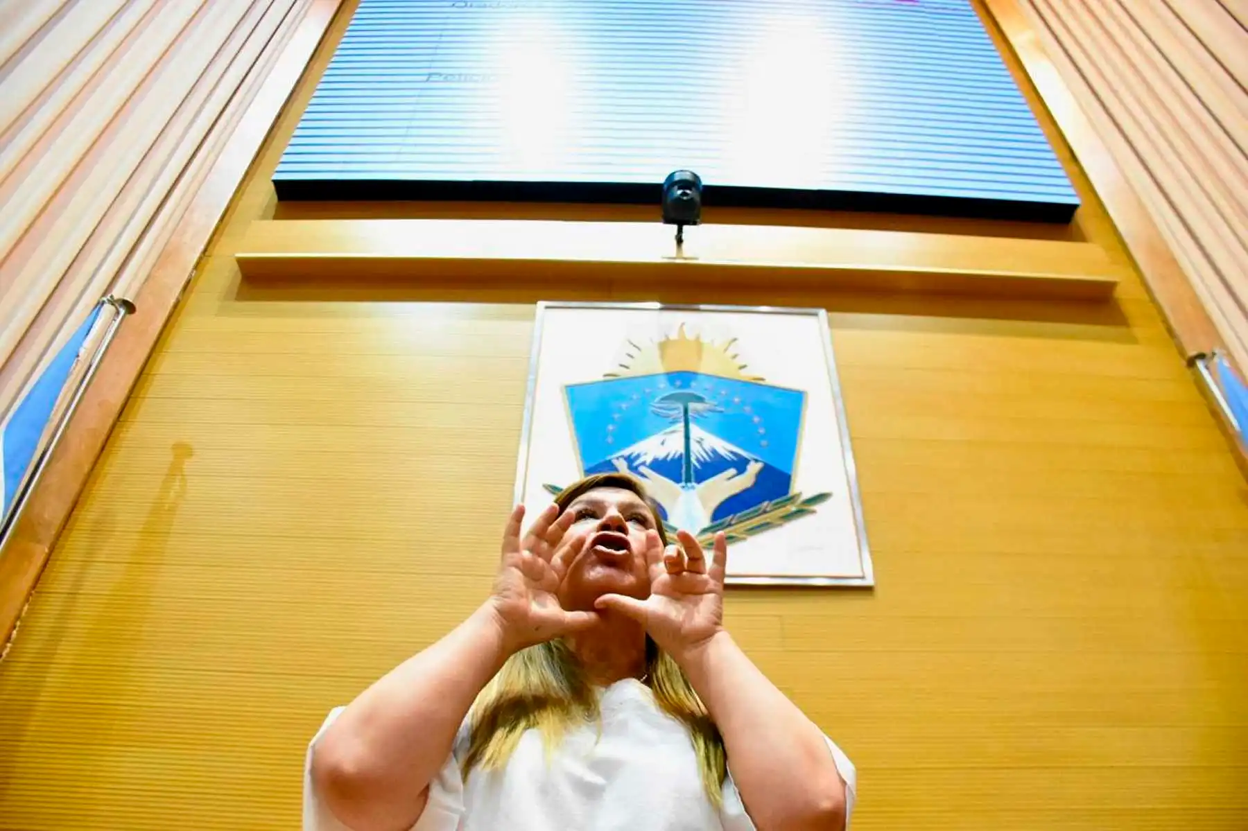 Neuquen-legislatura-sesion-especial-por-suspension-de-Gloria-Ruiz-foto-mati-subat-23