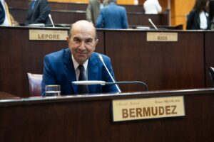 Diputado Marcelo Bermúdez