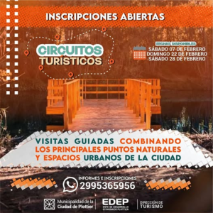 descarga