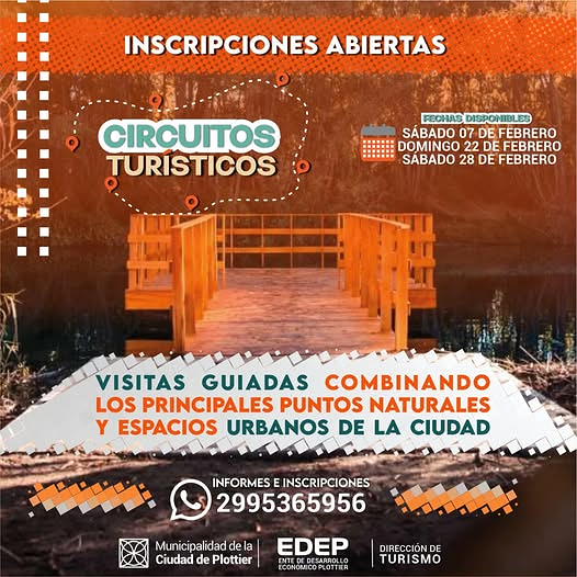descarga