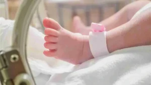 bebe