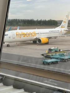 flybondi-avion-neuquen-solo-interna-