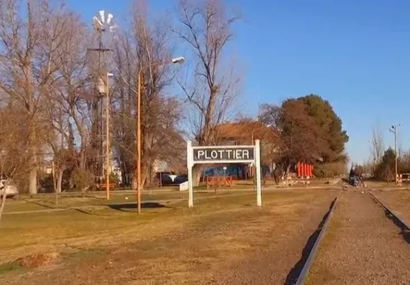 plottier-cartel-generica-valida-1200-