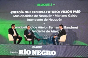neuquen-jornada-de-energia-on-gaido-y-banderet-foto-flor-salto-03-3