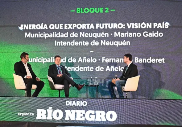neuquen-jornada-de-energia-on-gaido-y-banderet-foto-flor-salto-03-3