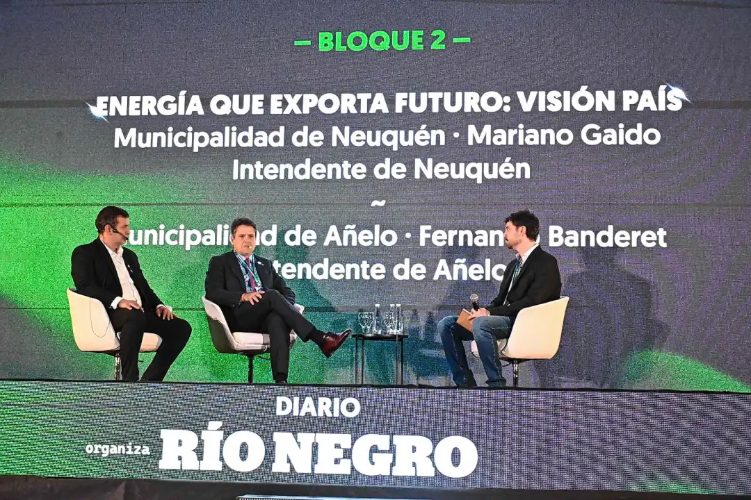 neuquen-jornada-de-energia-on-gaido-y-banderet-foto-flor-salto-03-3