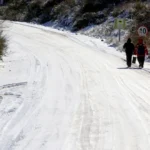 md
