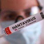 hanavirus1-jpeg
