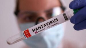 hanavirus1-jpeg