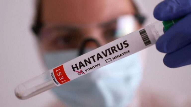 hanavirus1-jpeg